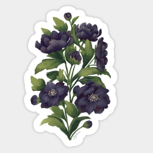 Dark Hellebore Floral Bouquet Sticker